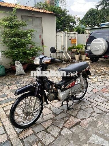 Xe dream Hàn Quốc bstp