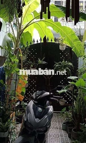 PHÒNG DÀNH CHO NGƯỜI ĂN CHAY - NGÃ TƯ BẢY HIỀN