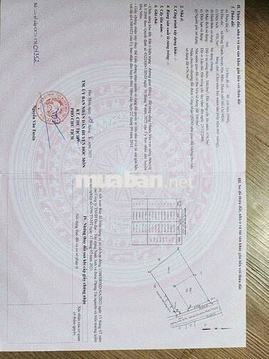 Đất mặt tiền 6-3 Đông Thạnh Hóc môn 25 dài 40