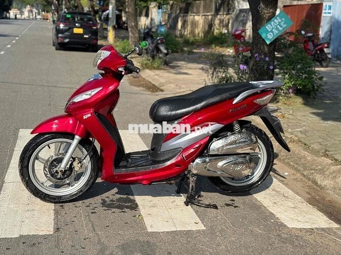 sh ark biển 43 chính chủ