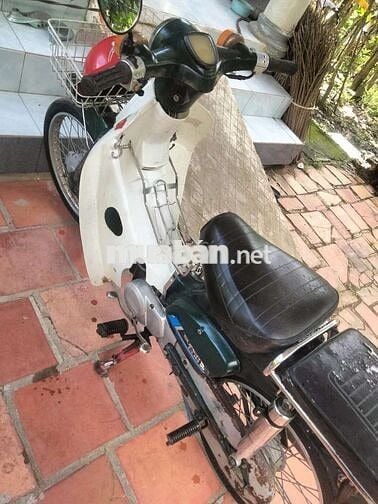 Honda Cub Xanh lá, trắng