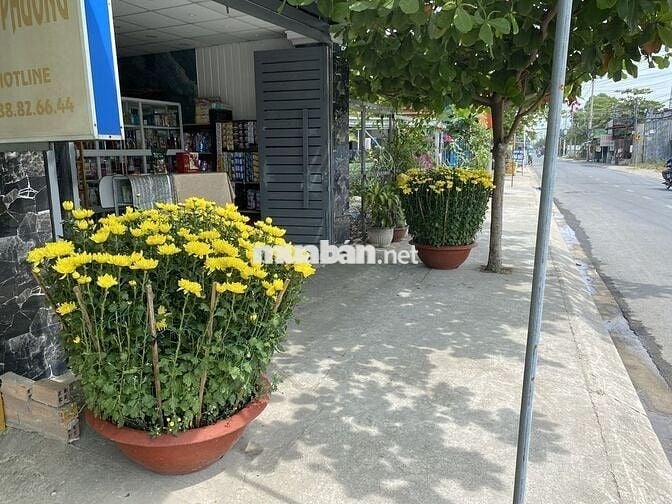 NHÀ MẶT TIỀN PHẠM THI GIẤY, 5X30M, 8.5 TỶ, HH 3%