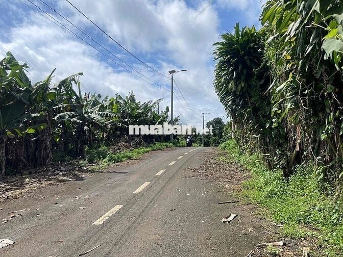 Đất Lộc An - Bảo Lâm - 158,7m2 (6mx32m) sẵn 100 thổ cư chỉ 4,4tr/m2