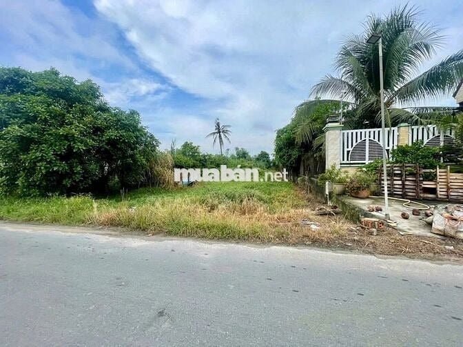 🔥 Đất mặt tiền Trương Thị Kiện – 284m² full thổ cư, sát TL7 - 1 tỷ 780