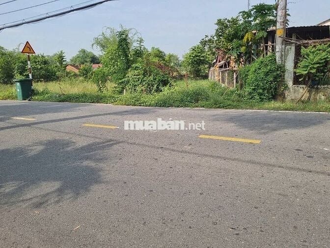🔥 Đất mặt tiền Cây Trôm Mỹ Khánh – 125m² thổ cư 100m², giá 1,69 tỷ TL