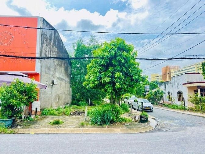 📌 BÁN ĐẤT 2 MẶT TIỀN NGUYỄN VĂN HOÀI – TÂN AN HỘI | DIỆN TÍCH LỚN 