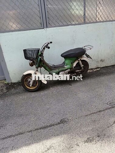 Xe chữa cháy rẻ bèo