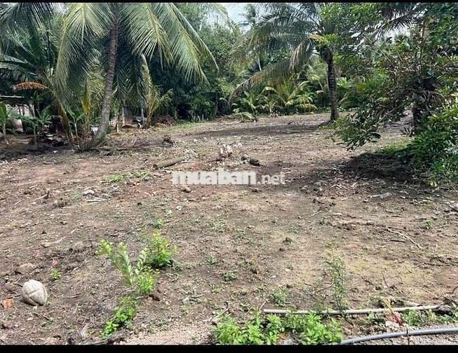 Đất nền Thổ cư xã Tân Long Hội Vĩnh linh