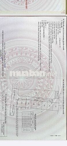 Bán đất 2 mặt tiền (12x13m)Đẹp, xây Biệt thự hoặc Kho Studio cho thuê