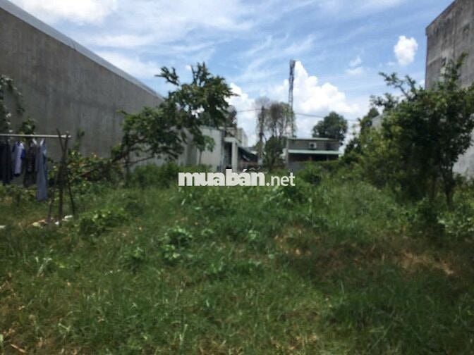 Bán Ngộp Đất Thới Hòa Bến Cát 300m2 950tr.Hợp đầu tư xây trọ cho thuê