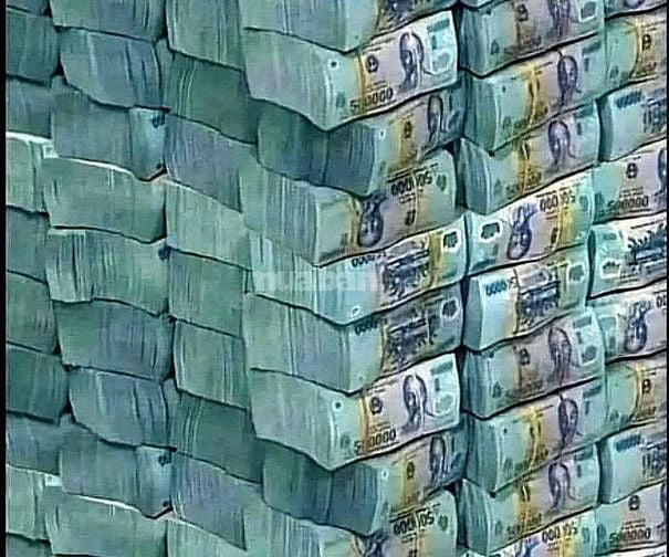 Cần bán nhà DTXD 700m mặt tiền đường Nguyễn Phúc Chu 