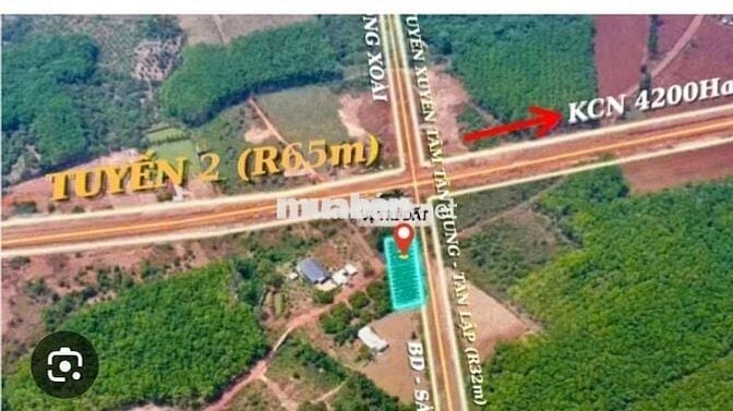 Bán Đất Xuyên Tâm.chính chủ . Chủ Đang Ngộp