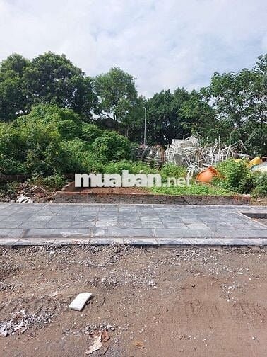 Chính chủ cần bán lô đất đẹp tại Dự Nội, Mai Lâm – Đông Anh