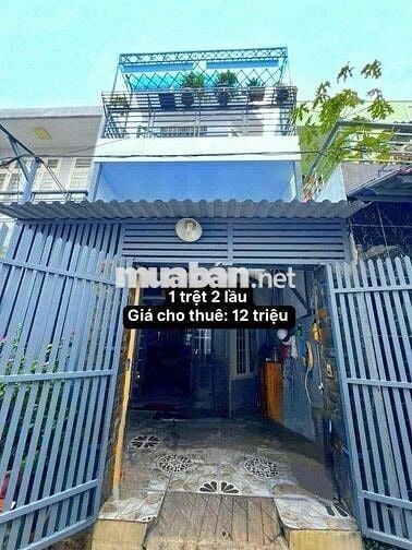 💰💰💰 TRỆT 2Lầu: 4PN (4❌15m) - HẺM 1358// QUANG TRUNG, P14, GV