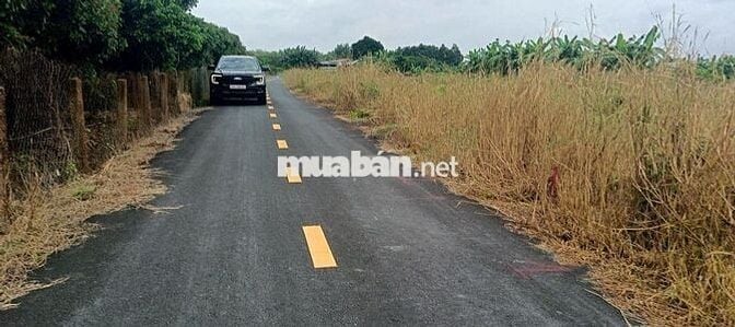 Bán Đất đẹp xã Hồ Tràm (Phước Tân cũ) – Xuyên Mộc Chỉ 850tr