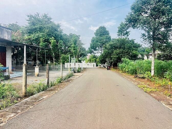 BÁN NHANH 1000M2 ĐẤT HOÀ BÌNH – XUYÊN MỘC – BRVT GIÁ CHỈ 1.5 TỶ