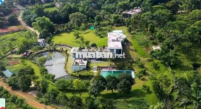 BTNV - 600m2 - 6pkk - Thạch Thất