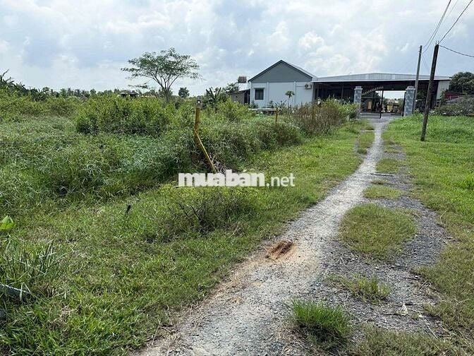 Đất nền full thổ cư đức hoà long an.