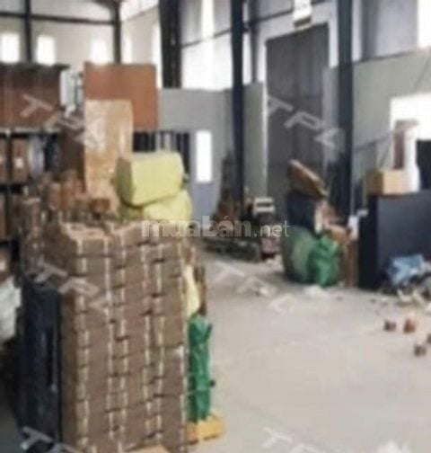 KHO XƯỞNG KHU VỰC BÌNH TÂN, TÂN PHÚ CẦN TUYỂN NHÂN VIÊN ĐÓNG GÓI 