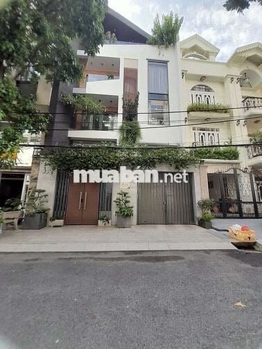 Hẻm thương mại 8m 50m2 ngang 4,6m Lý Thường Kiệt 4 tầng Hỗ trợ bank