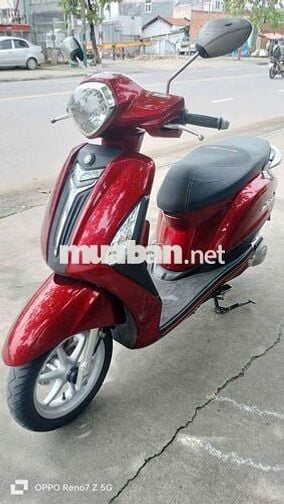 Siêu phẩm grande zin mới bảo cọp bs60 .có góp