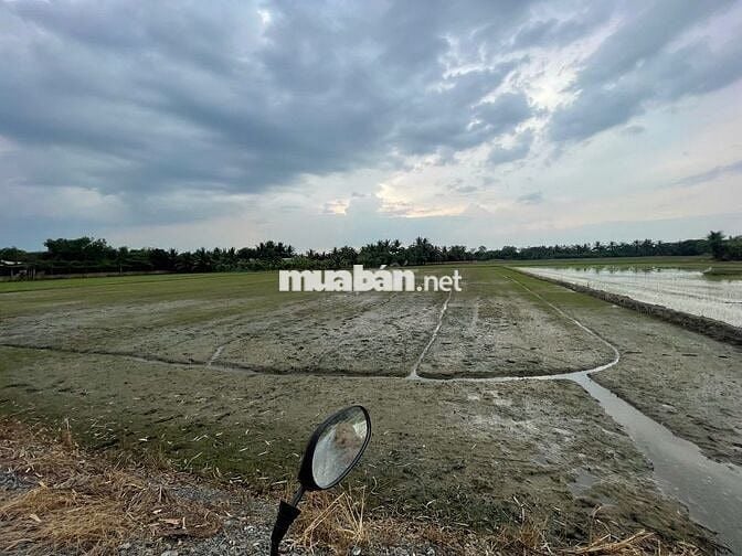Đất Nông Nghiệp - 4907m2 - Mặt tiền đường Ba Thước - Tân Nhựt