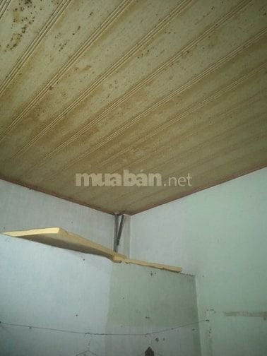 Cần tìm người ở ghép chung cho vui.