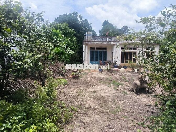 BÁN ĐẤT ĐẸP – MẶT TIỀN ĐƯỜNG SÔNG LU 2, BÌNH MỸ (HOÀ PHÚ) CỦ CHI