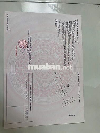 đất nền thổ cư sổ hồng riêng  diện tích 445m2 đất trảng bàng tây ninh