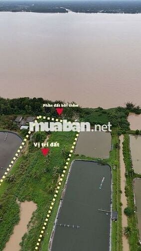 Bán đất mặt tiền sông Tân Phú Đông – 5.345m², giá 265tr/1.000m²
