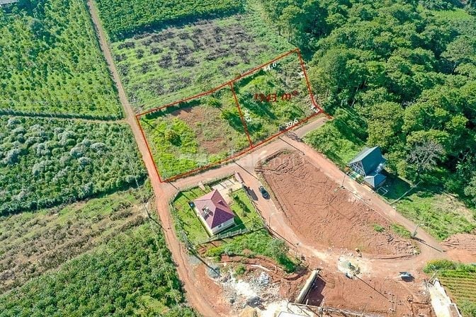  Bán nhanh 1.343m2 full thổ cư - 40x35 m - Trung Tâm Dambri TP Bảo Lộc