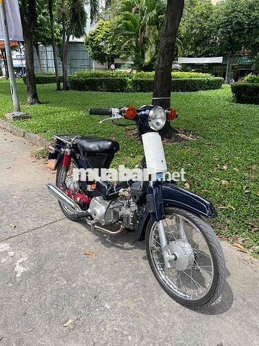 Cub 54 Dên Lớn BSTP