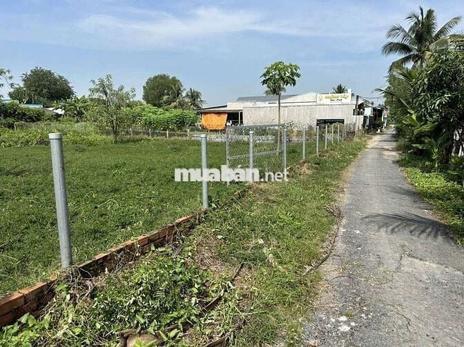 Bán đất thổ cư huyện Tân Trụ Long An