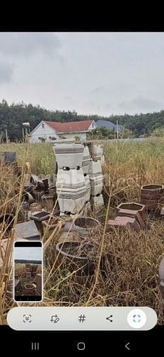 bên mình bán chậu trồng hoa cây kiểng, bon sai