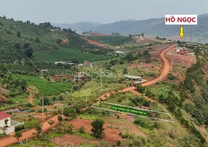 BÁN GẤP! LÔ ĐẤT 540M² CÓ THỔ CƯ – MẶT TIỀN ĐƯỜNG CHÍNH HỒ NGỌC