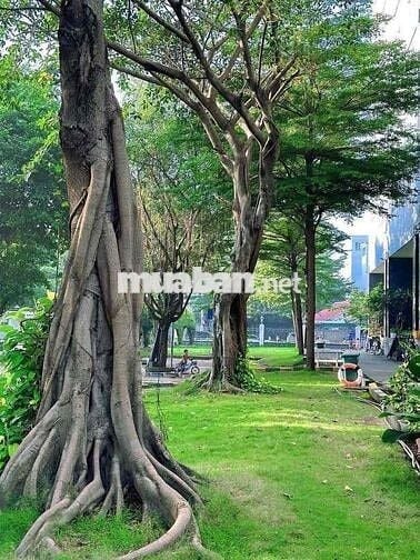 căn Shophouse view sân mát 88m2 3pn, Gò Vấp