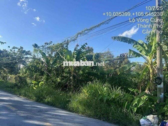 NH thanh lý giá cực tốt, MT đường nhựa, Tân Thới, Phong Điền, Cần Thơ