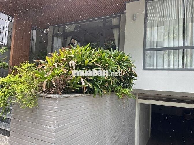 Chính Chủ Cần Cho Thuê Gấp  (MTG)