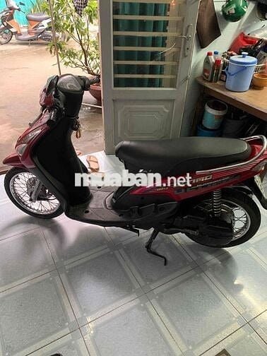 mio thái bán hoac gl