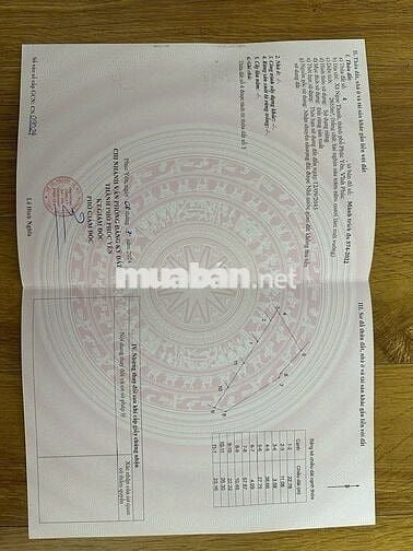 Đất rừng nở hậu,diện tích thực lớn hơn sổ,pháp lý sổ đỏ làm farmstay