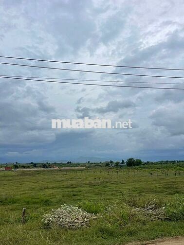 SIÊU PHẨM - ĐẤT ĐẸP – GIÁ TỐT– CC CẦN BÁN Đất Ngay Công An Xã Ninh Sơn