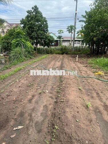 Cần bán đất mặt tiền đường QL 14 - ĐT 741