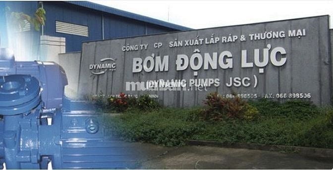 CÔNG TY BƠM ĐỘNG LỰC CẦN TUYỂN LAO ĐỘNG PHỔ THÔNG