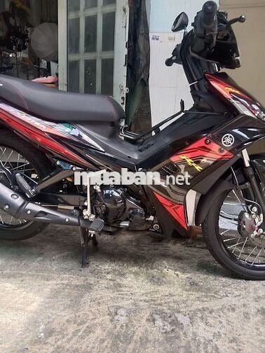 Bán exciter zin mọc dọn kiểng