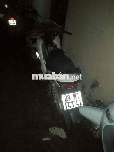 do cắm mai đến ngày ko. có khả. nằng lấy