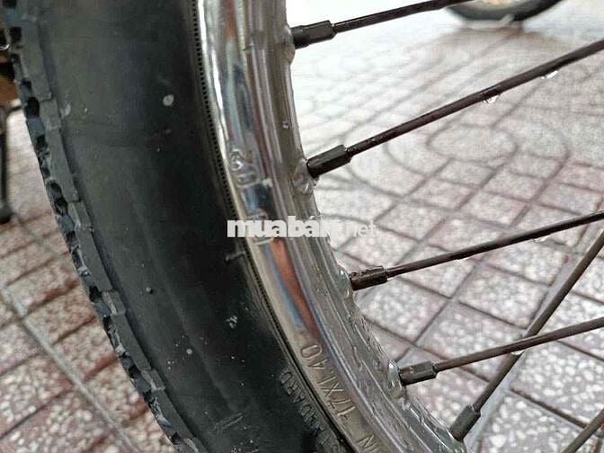 bán suki viva 2 đỉa