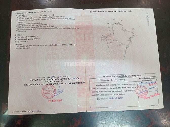 Cần bán đất xã Tân Tiến, Đồng Nai (Bình Phước cũ)