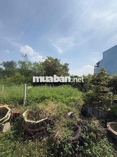 BÁN ĐẤT THỔ CƯ NGANG 5m HÀ HUY GIÁP THẠNH LỘC QUẬN 12