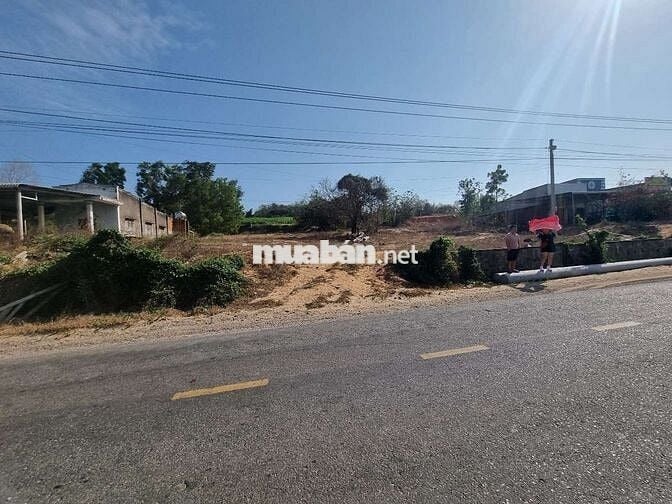 Chính chủ bán mặt tiền DT715, dt hơn 1250m2, ngay sân bay Phan Thiết