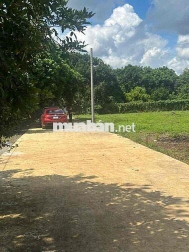 ĐẤT DẦU GIÂY 170m2 SỔ HỒNG THỔ CƯ FULL 585tt